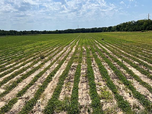 4th image of 0 County Road 13 Acres #84