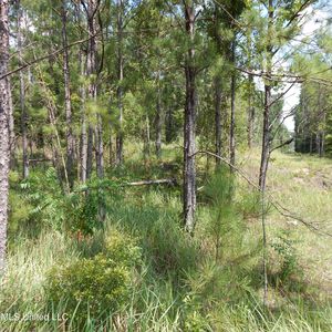 Central Firetower Rd, Lucedale, MS, 39452
