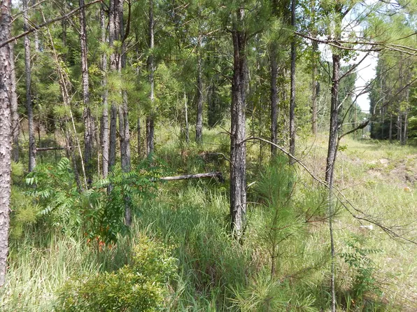 Central Firetower Rd, Lucedale, MS 39452