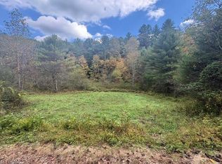 Tbd Caseys Branch Rd, Purlear, NC 28665