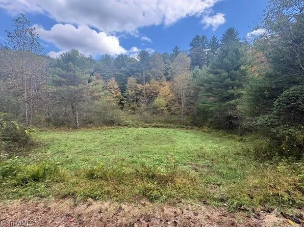 Tbd Caseys Branch Rd, Purlear, NC 28665