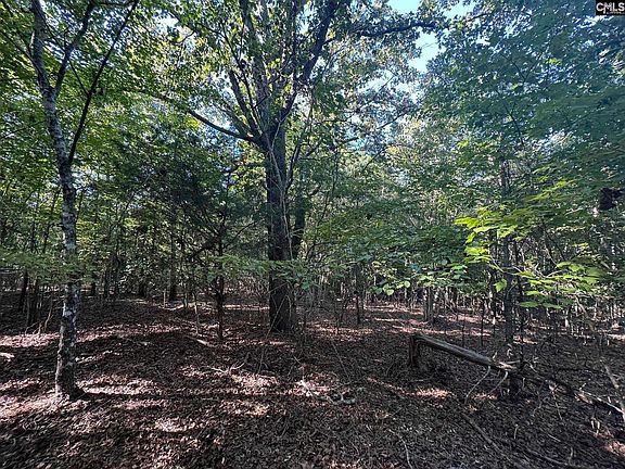 4th image of Shaw Rd