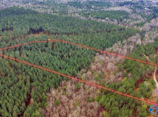 Mountain Dr, Remlap, AL 35133