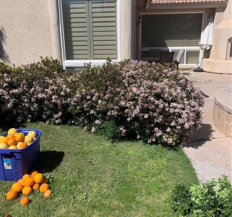 1st image of 78805 Via Melodia