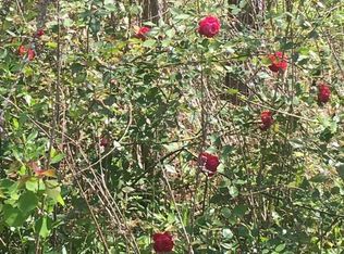 7036 Road 140, Bay Saint Louis, MS 39520