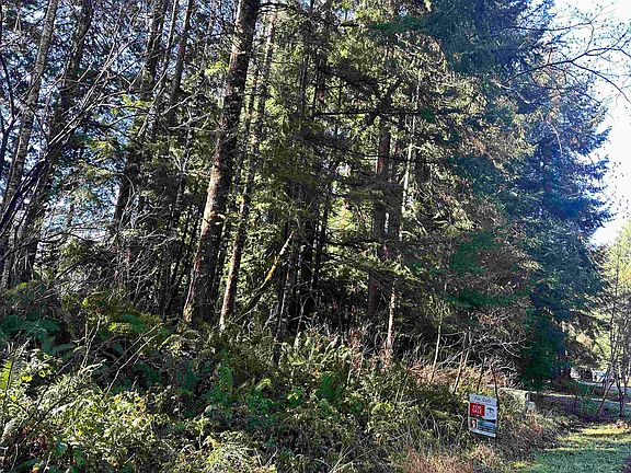 3rd image of 38-38 Bell Hole Loop