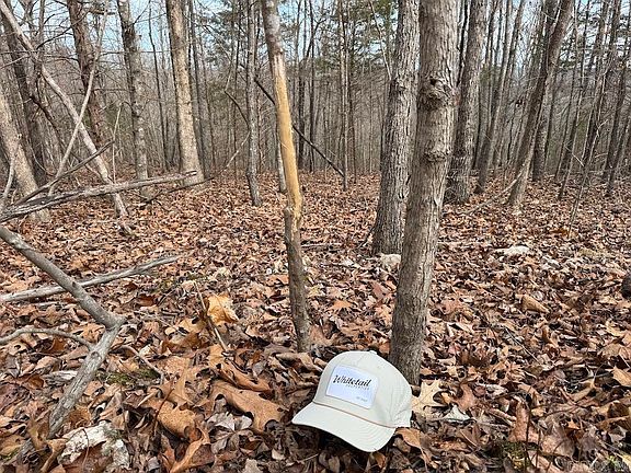 5th image of 198 Mill Springs Rd