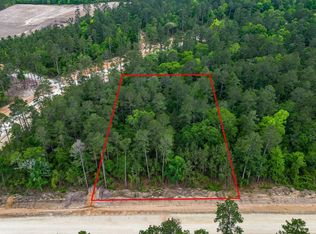 15583 Wood Grove Way, Willis, TX 77378