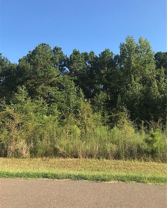 2nd image of 0 N Pointe Cir