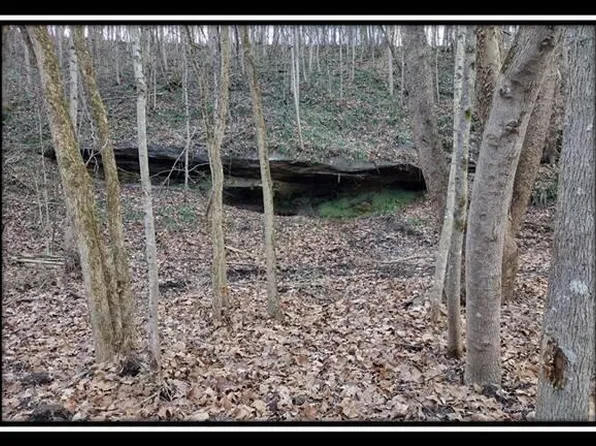 O Hollow Rd #12, Wellston, OH 45692