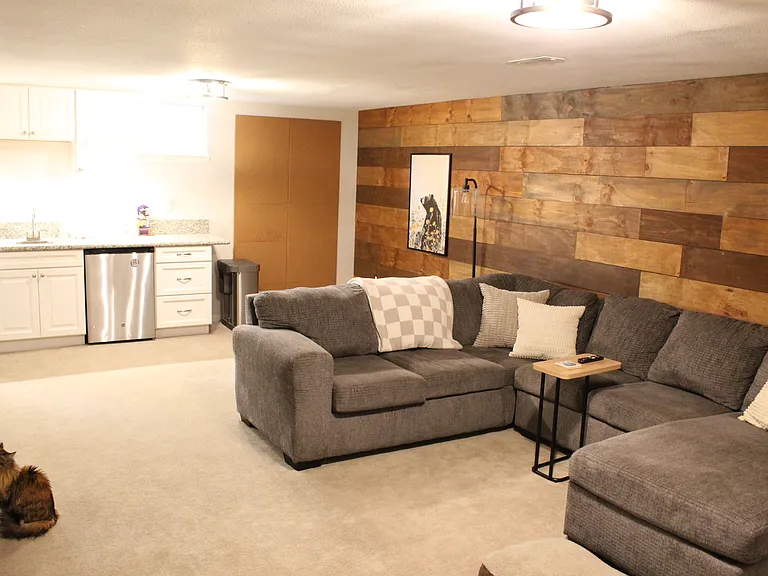 Open Basement layout (couch for sale by current tenants)