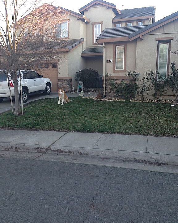 Nice Area North Natomas
