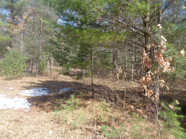 Martin Blvd, Houghton Lake, MI 48629