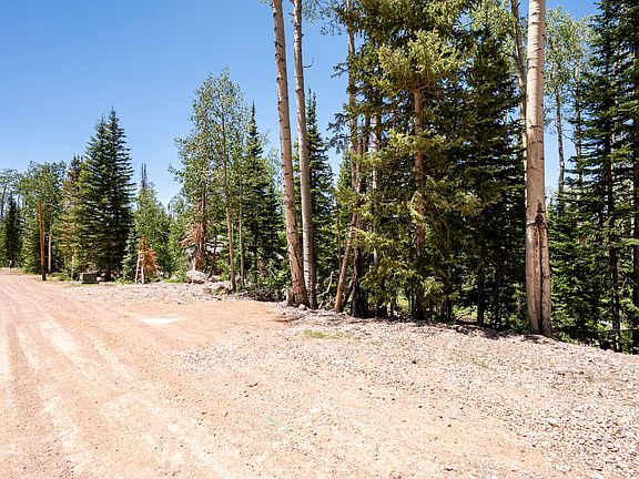 5th image of 349 E Trail Rd