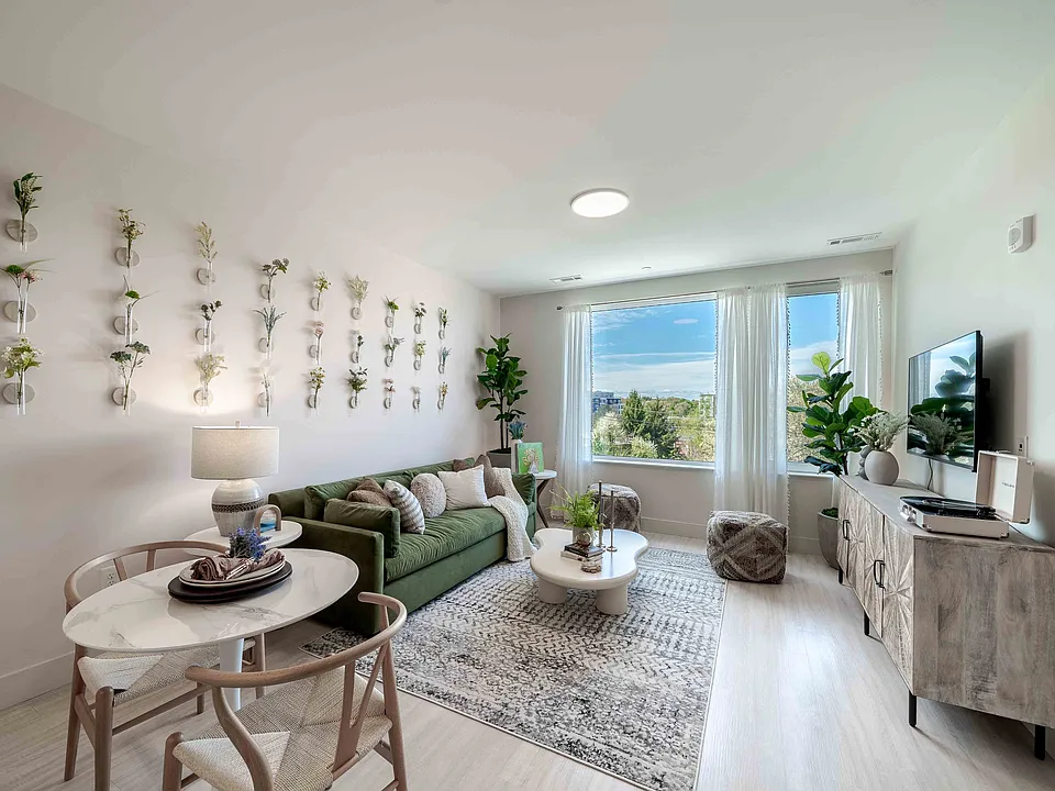 Apartment Living Room