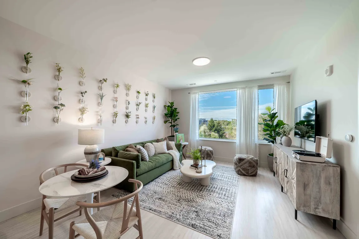 Apartment Living Room