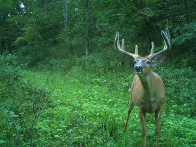 32974 Potter Lane, Muscoda, WI, 53573