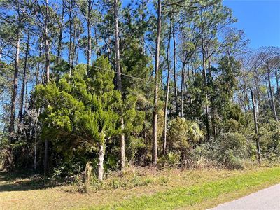 179 Ullian Trl #2, Palm Coast, FL, 32164