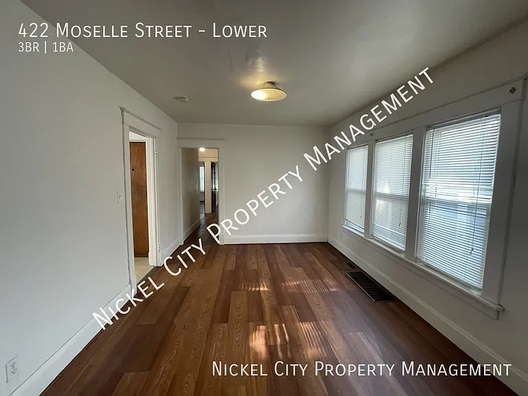 422 Moselle St #LOWER — Photo 2