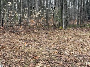 N Vandermeulen Rd, Lake City, MI 49651