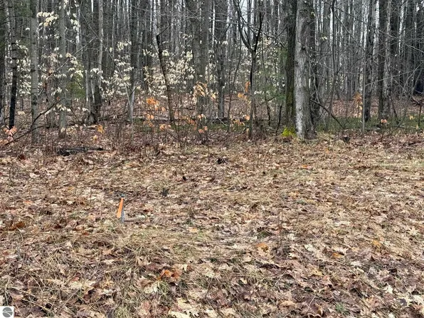 N Vandermeulen Rd, Lake City, MI 49651