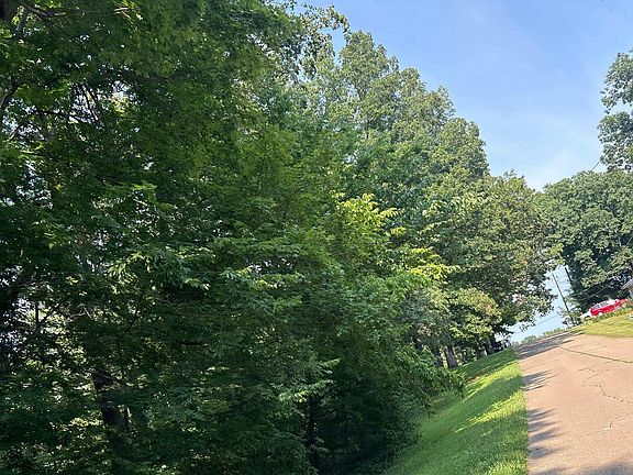 4th image of 320 Mystery Rock Rd