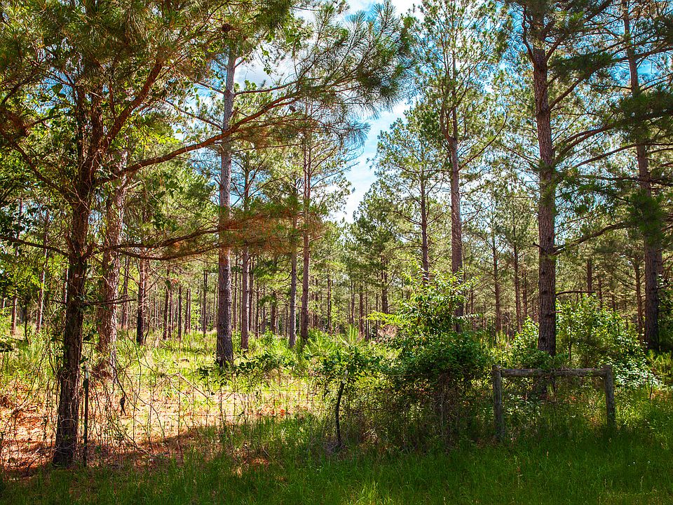 2nd image of LOT C Bill Dorn Road