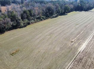 TBD Highway 917, Nichols, SC 29581