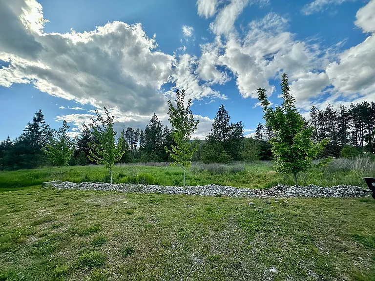 7005 W Timberline St — Photo 13