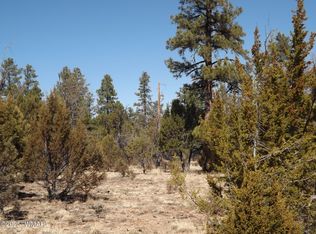 0004X Two Section #31, Overgaard, AZ 85933