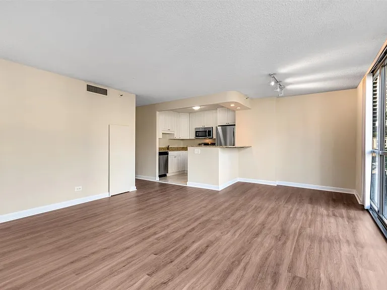 10 E Ontario St #802 — Photo 4