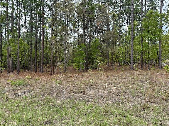 3rd image of SW 125th Court Rd Lot 8