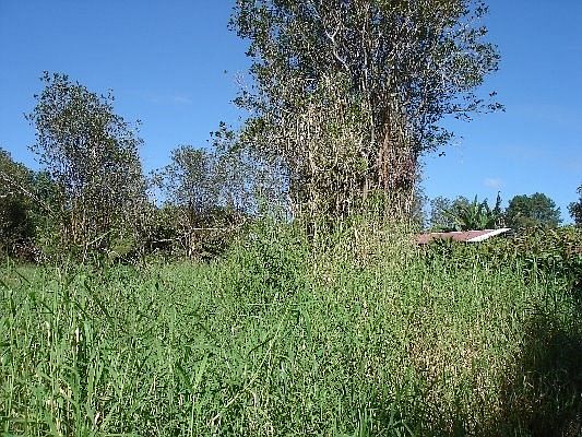 2nd image of Road 1 Lot 62
