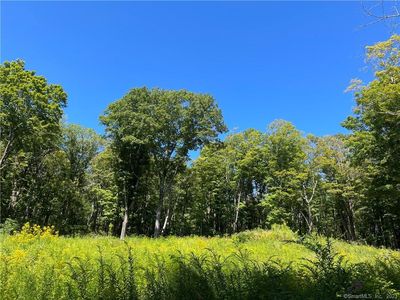 0 Westwoods Rd #2, Sharon, CT, 06069