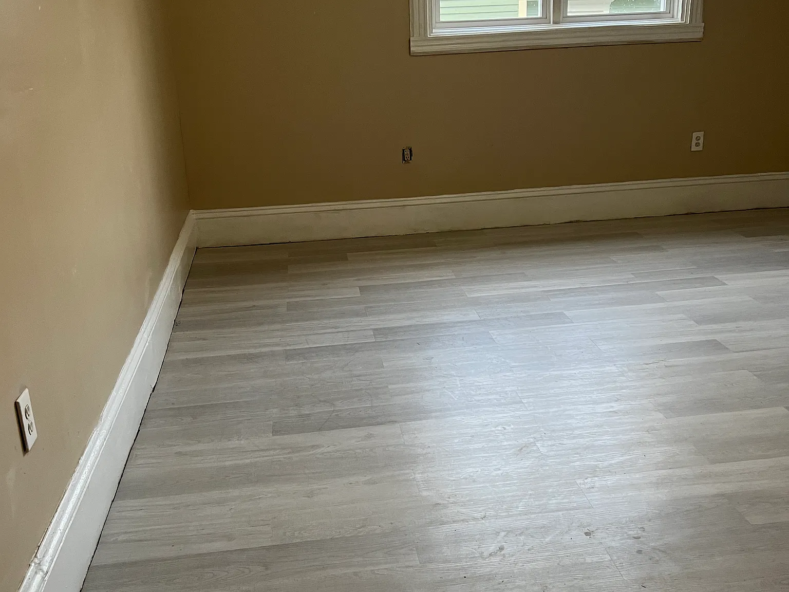 1 bed, 600 sqft, $800 — Photo 4
