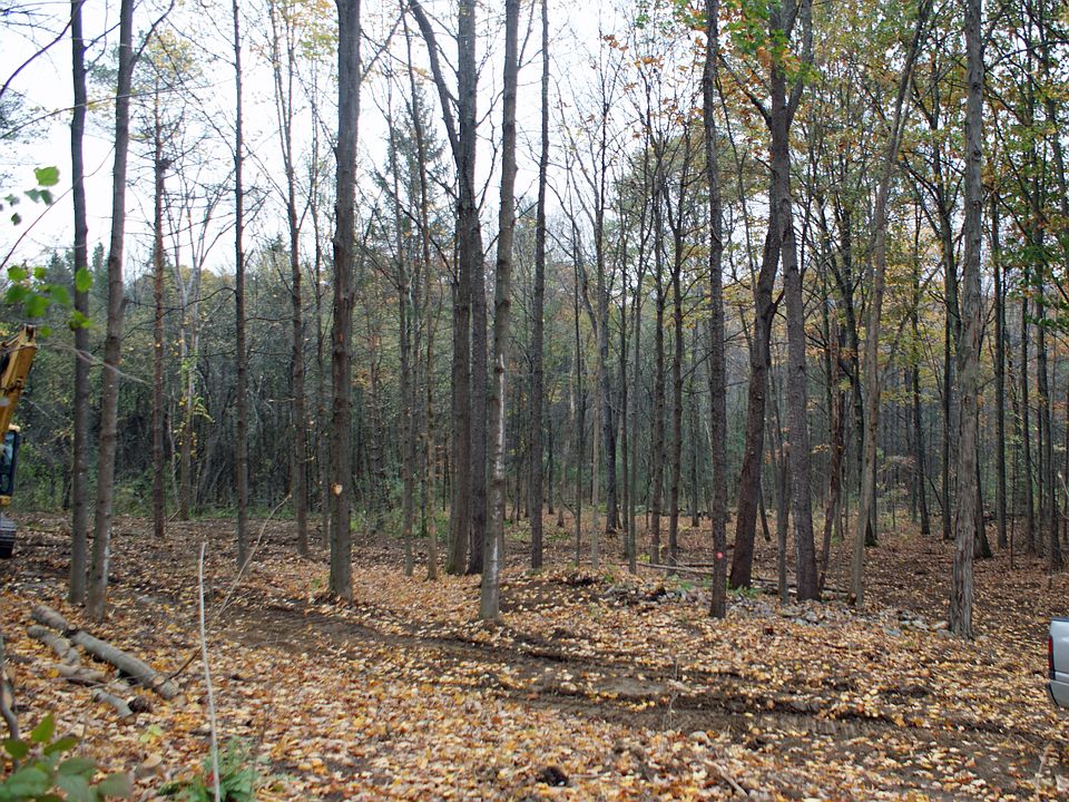 2nd image of Swamp Lane