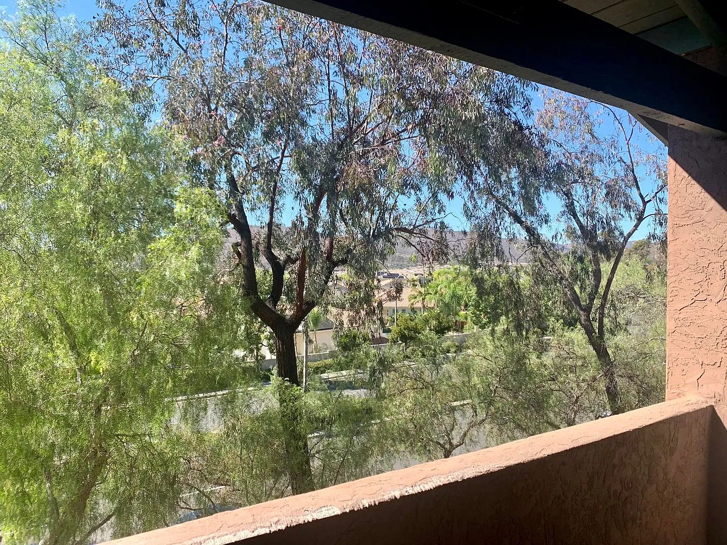 Single Level Rancho Bernardo Condo For Lease - Two Bedroom Suite — Photo 4