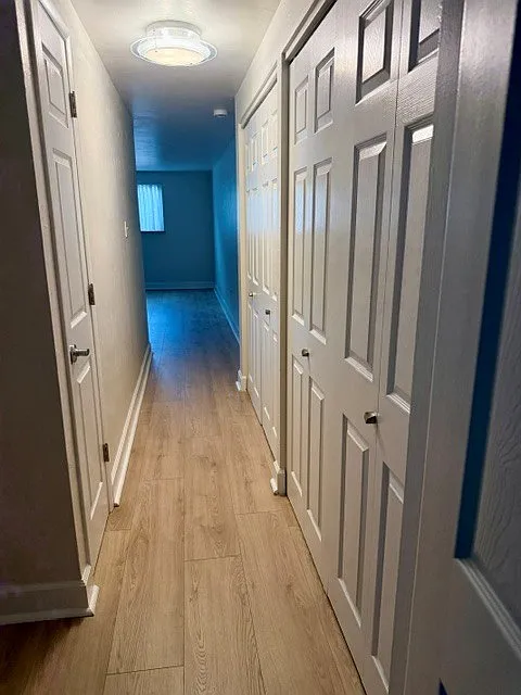 1 bed, 585 sqft, $1,100 — Photo 4