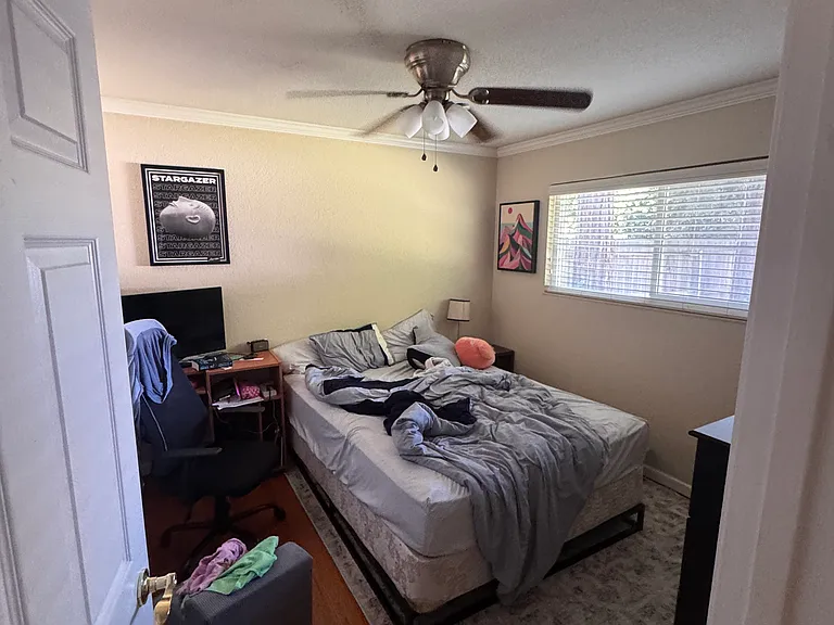 1803 Magnolia Pl — Photo 10