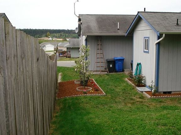 Backyard 3