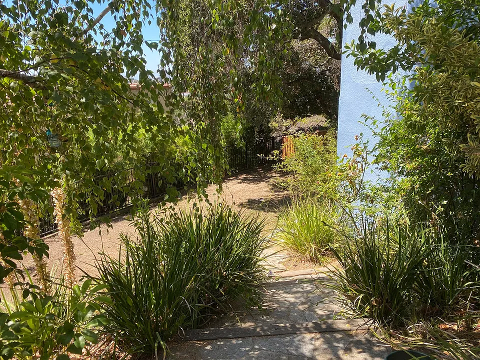 Large backyard