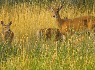 823 Ravalli St, Hamilton, MT 59840