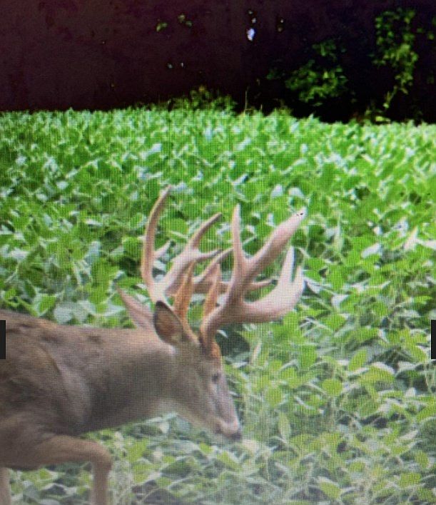 0 Eugene, Meadville, MO 64659 Zillow