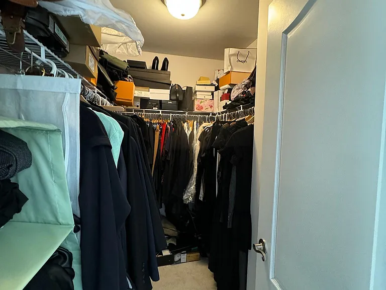 Primary closet