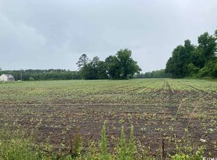 TRACT Wildflower Rd #A, Hemingway, SC 29554