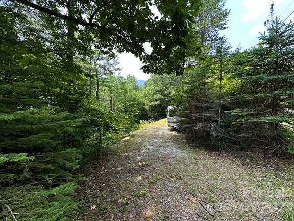 2nd image of 445 Bear Cub Dr #14