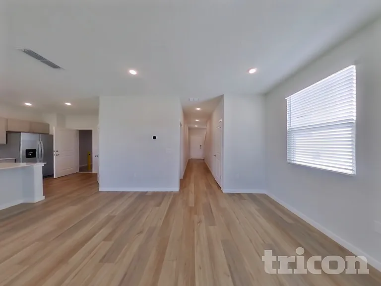 56 Brazil Nut Cir — Photo 3
