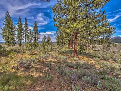 312 Bob Haslem, Truckee, CA, 96161