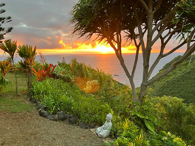 Backyard view