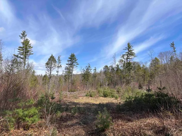 M409 L66-2 Old Turnpike Road, Richmond, NH 03470